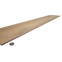 RADIANT - 8X47 PLAIN, BEACH, INDOOR R11